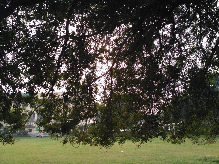The University Campus