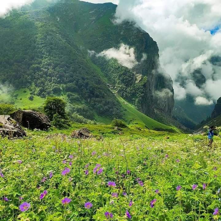 nature