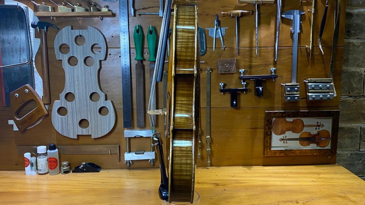 Violin