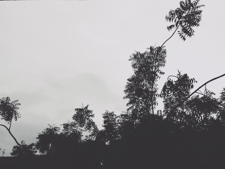 Hazy day and it is so beautiful 