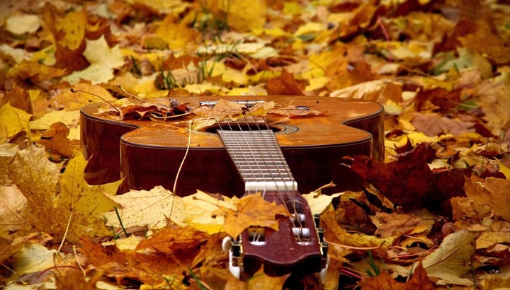 Autumn;3