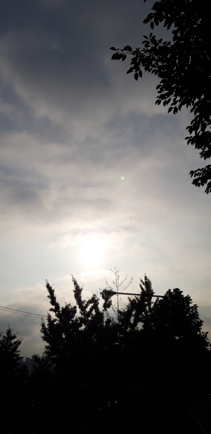 《morning》