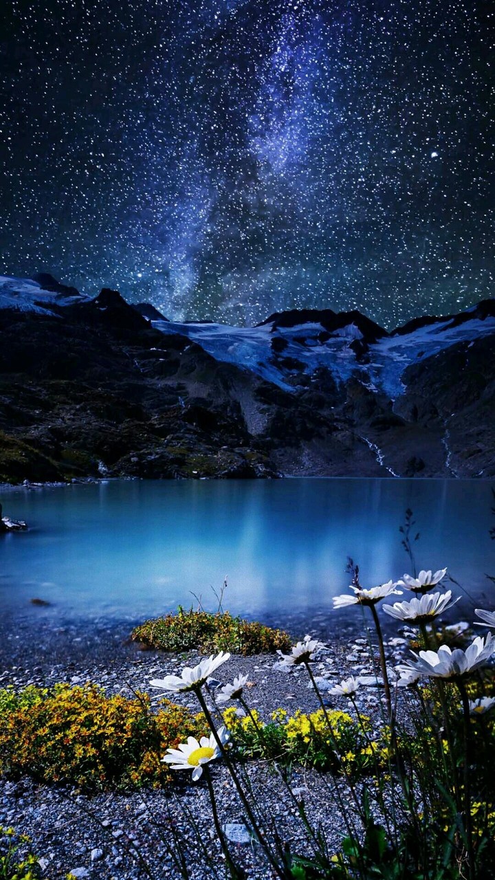 Night Stars