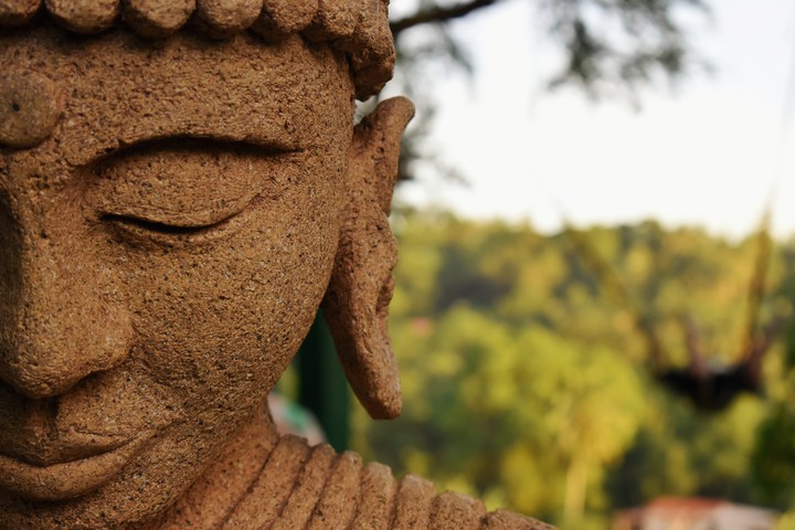 My Wallpaper, Clicked on Nikon D3500