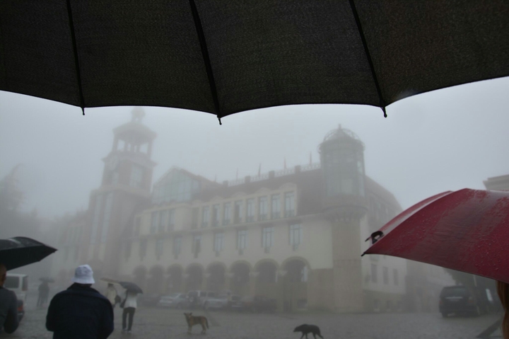 Under umbrella