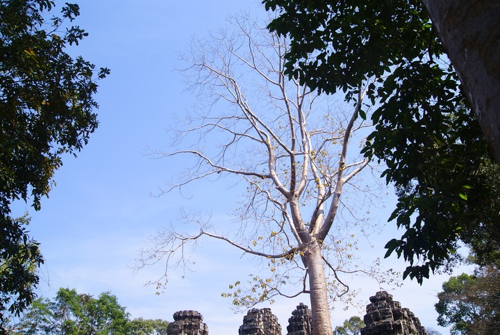 Travel