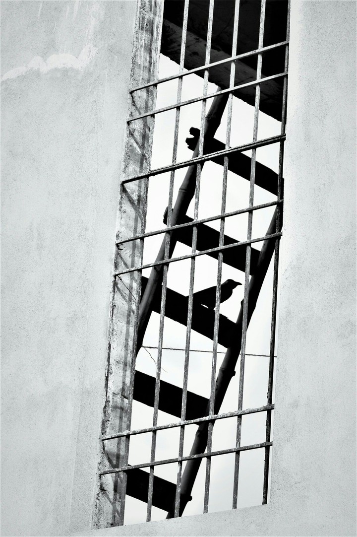 Reaching new heights