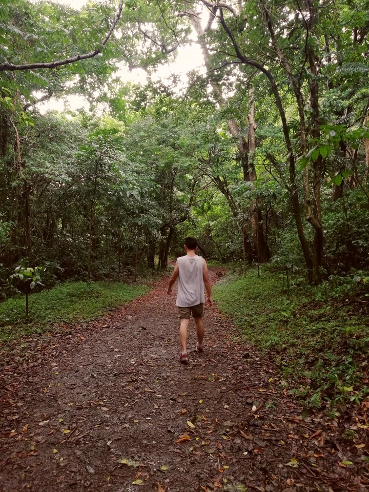 Walk