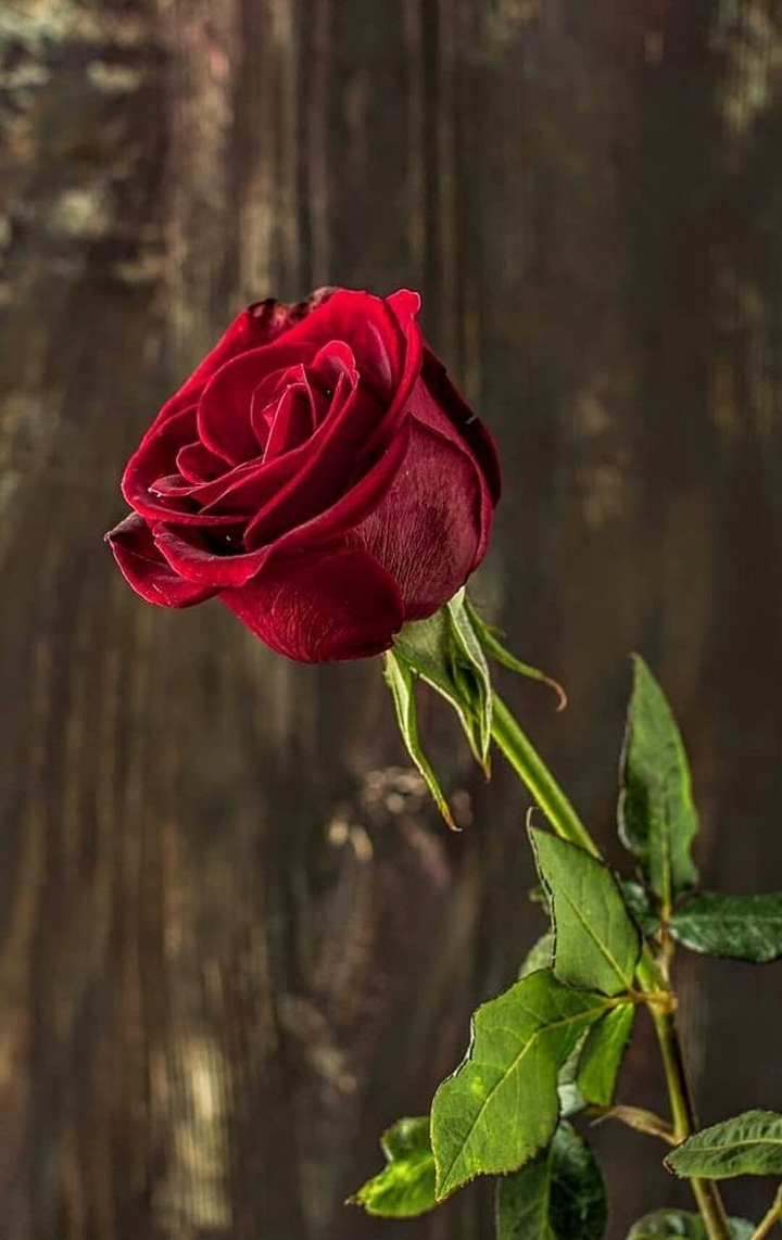 ❤