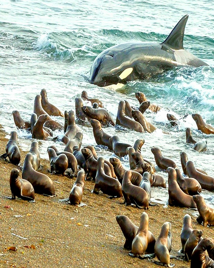 Come on IN the Water is Fine Pals
