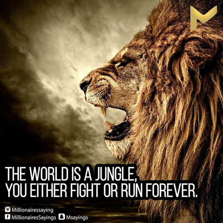 ali lion king