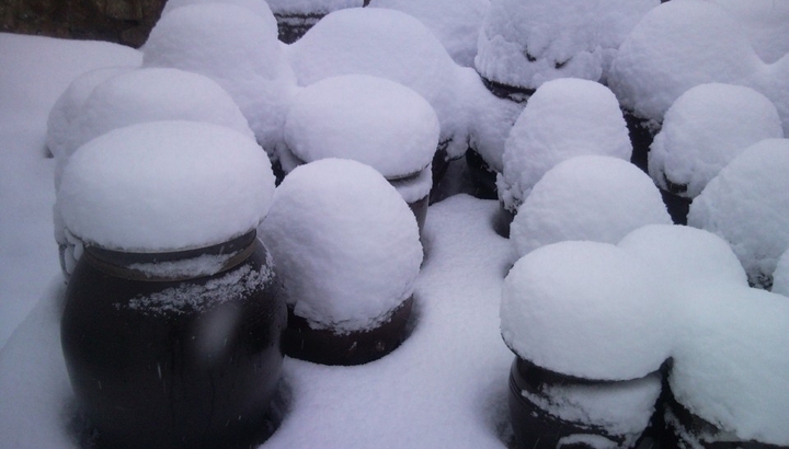 snow