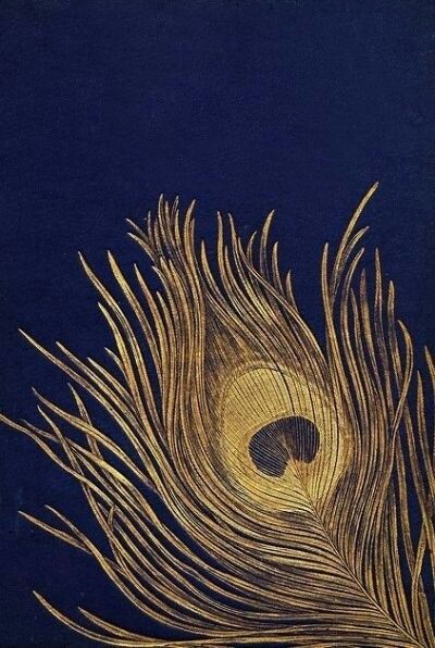 peacock feather