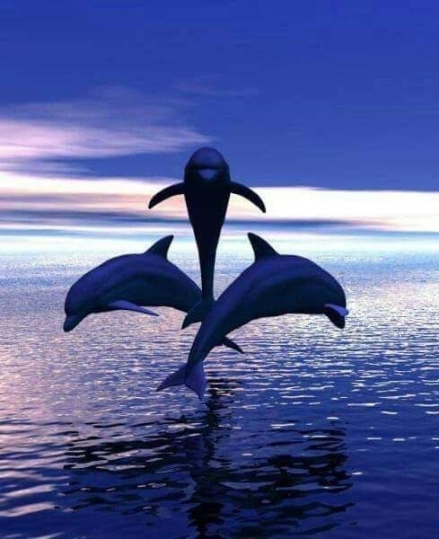 Delfines