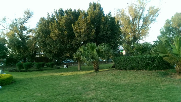 Bachoon Ke Dunia Park