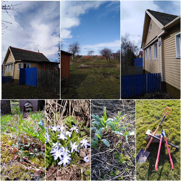 dacha