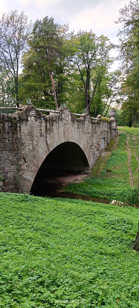 fonds d'écran waterway, plant