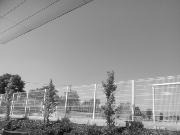 Monocromatic foto