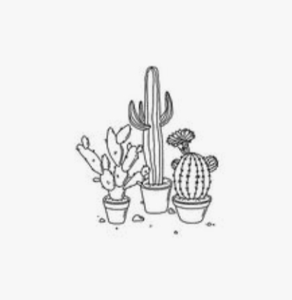 plantas