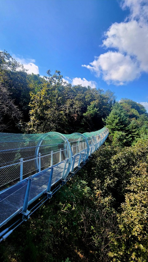 fonds d'écran Bridge, adventure