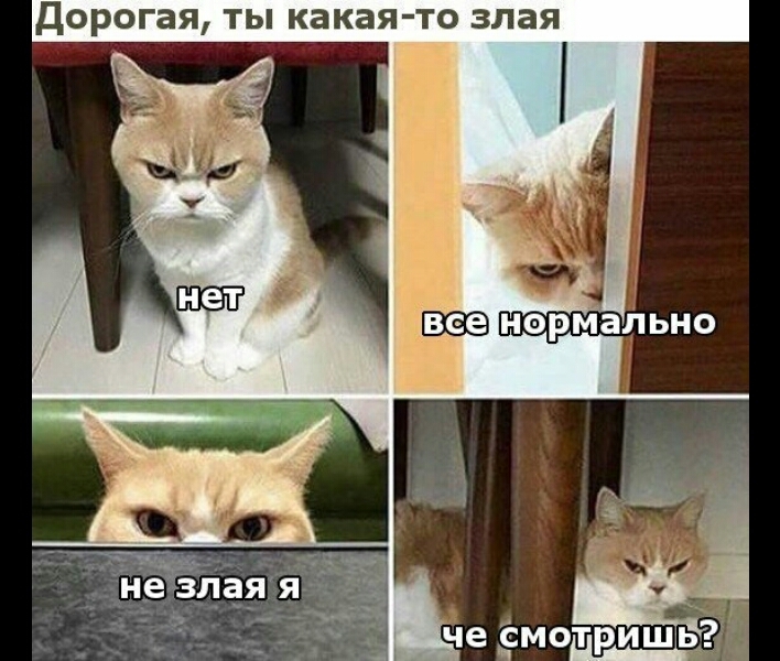 вазах