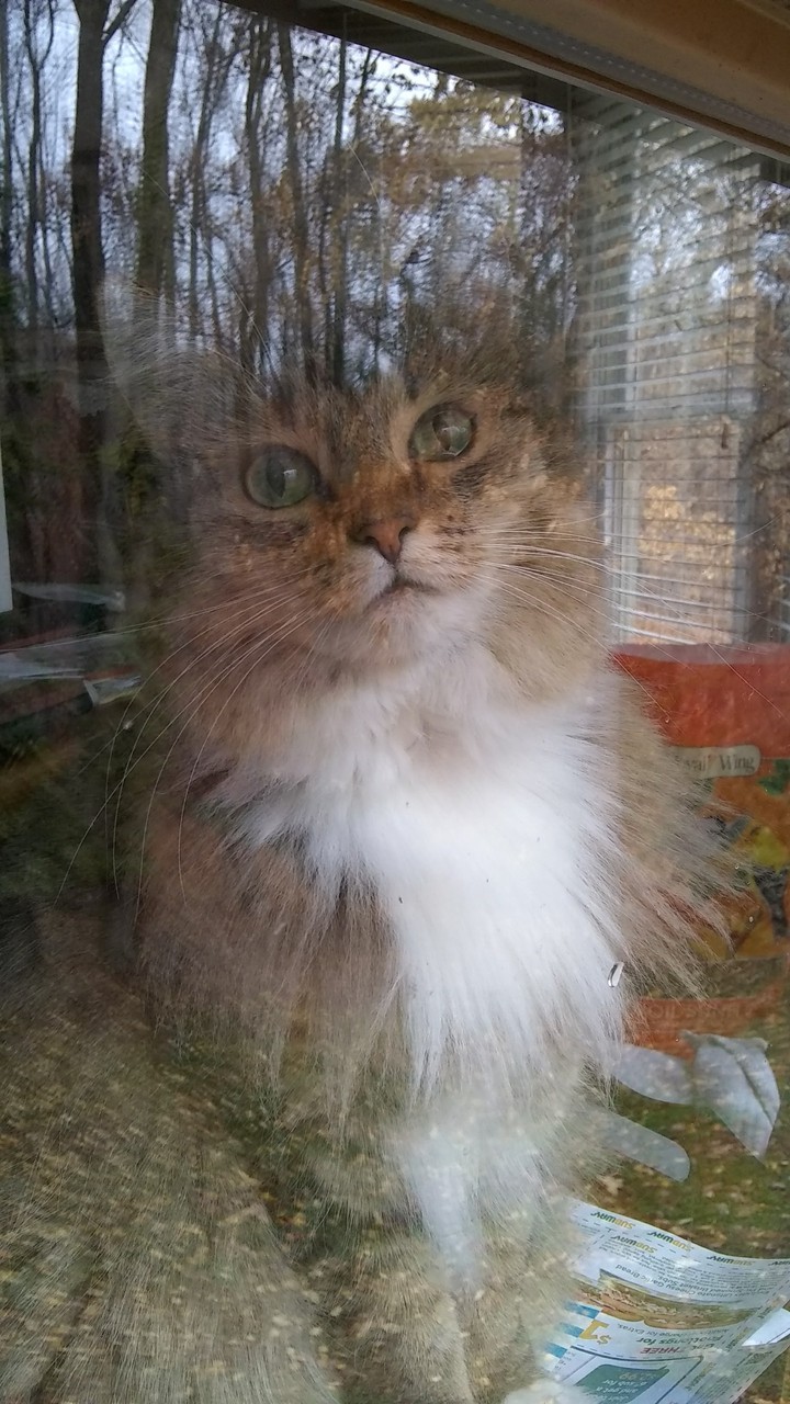 I wanna go outside
