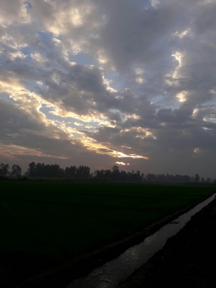 nature