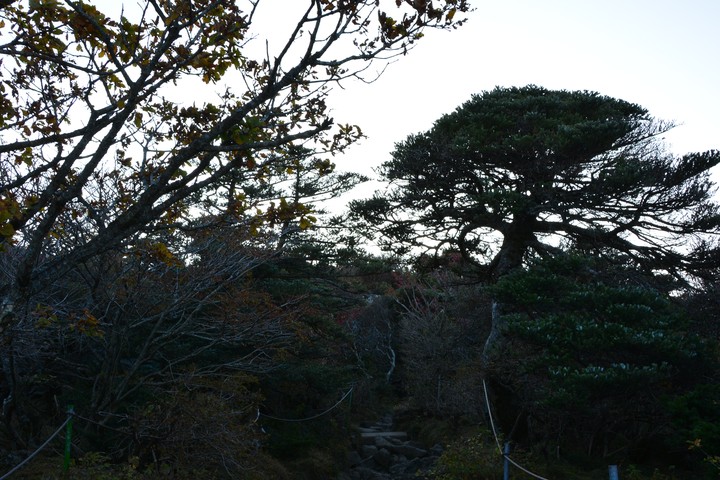 한라산이미지