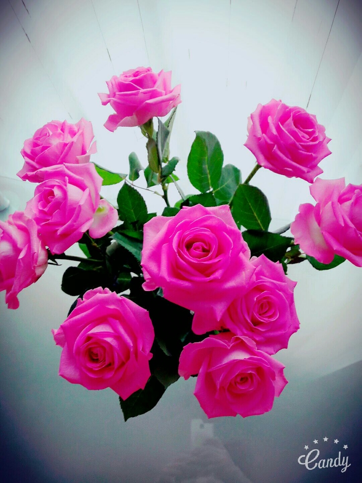 pink