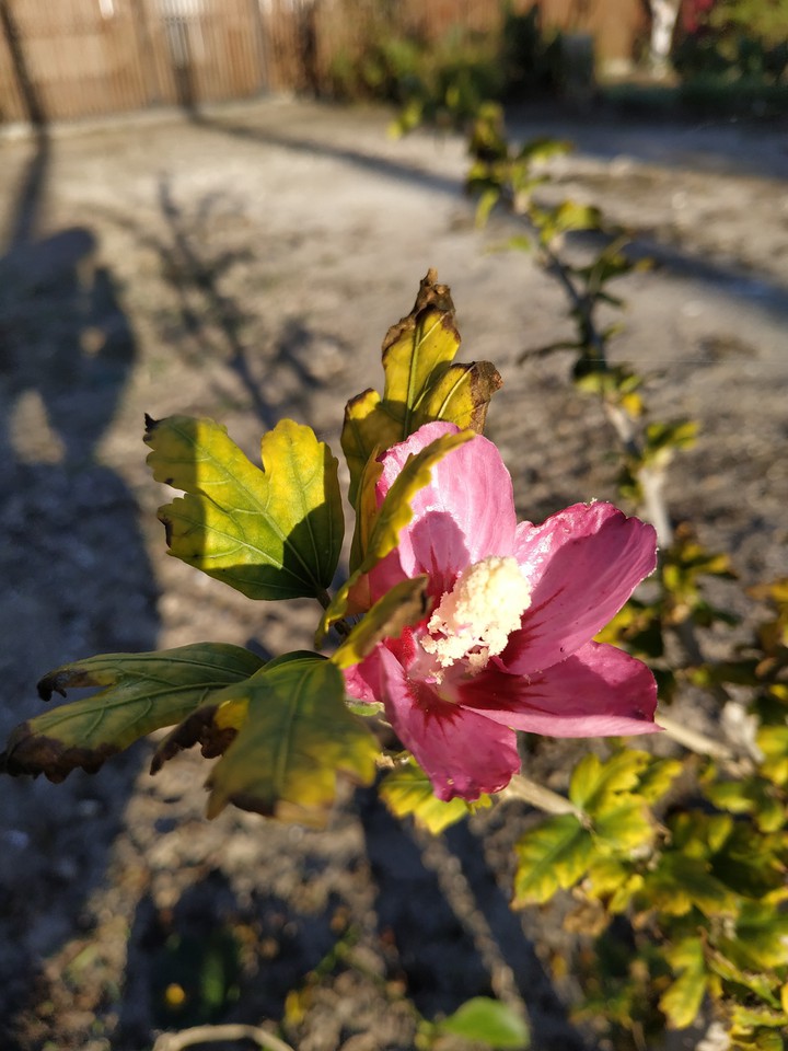 touch of autumn