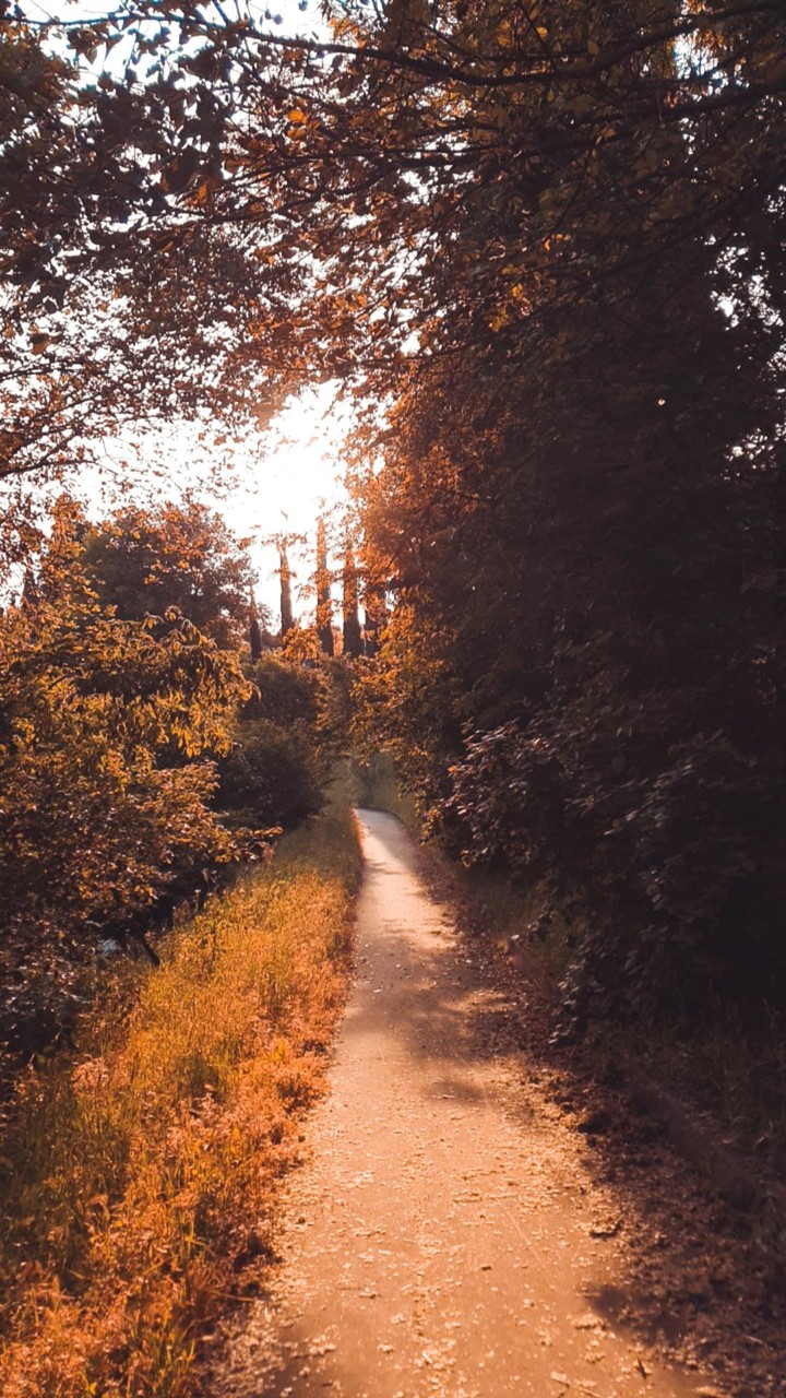 road