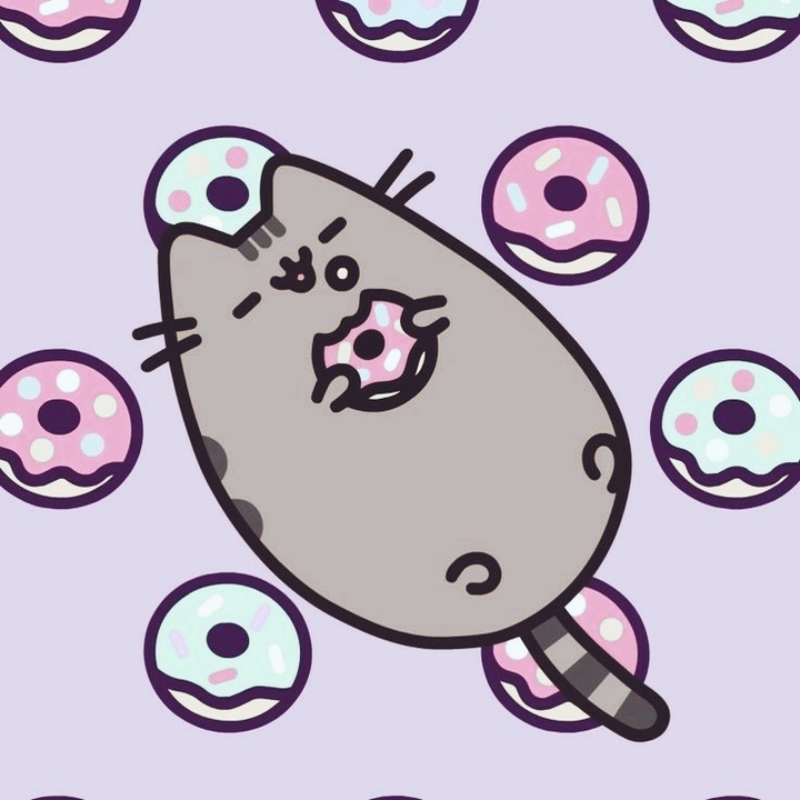 DOUNUTPUSH