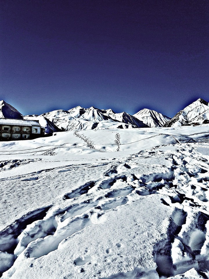 Snow77