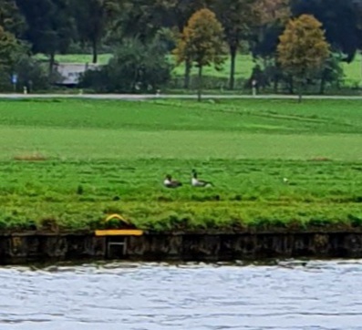 Natürlich