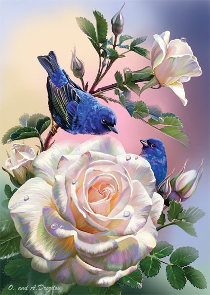Roses & bird