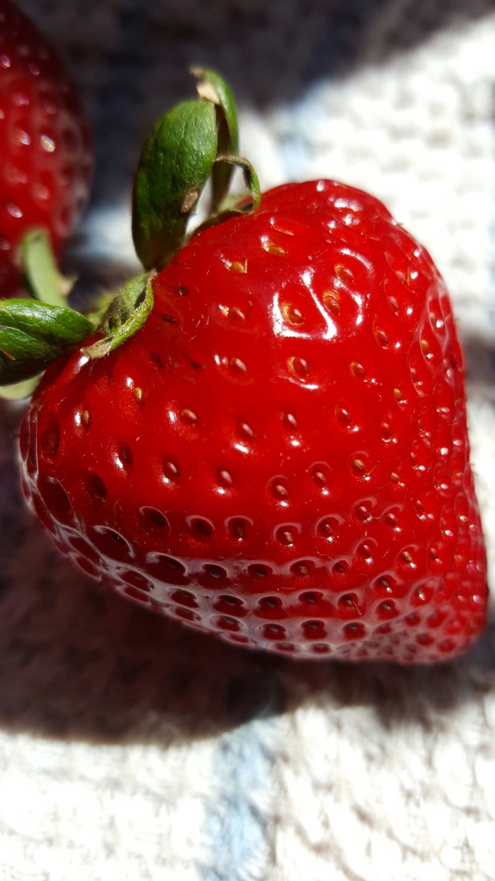 Fraise !