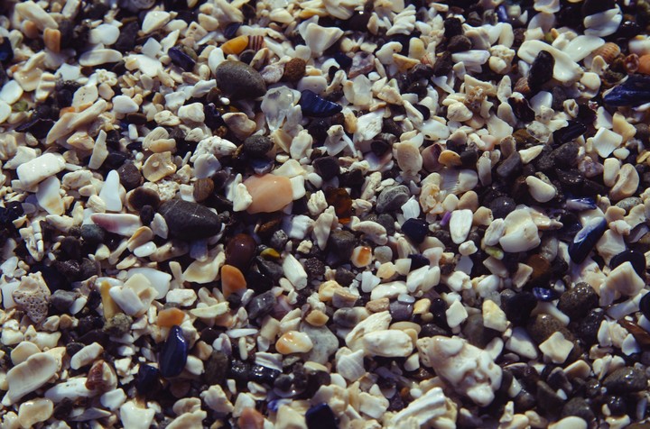 Shell Sand