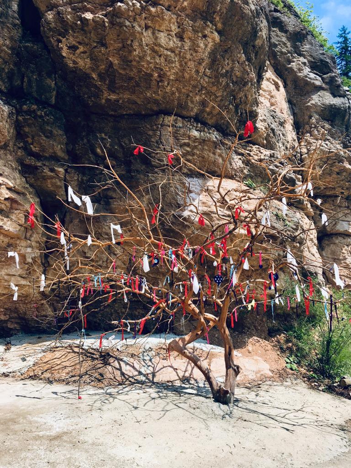 Cal Cave Trabzon