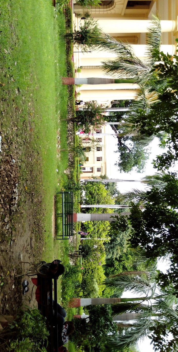 IT COLLEGE