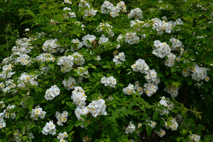 산이미지
