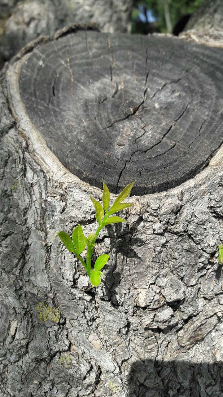 I took this photo (2)