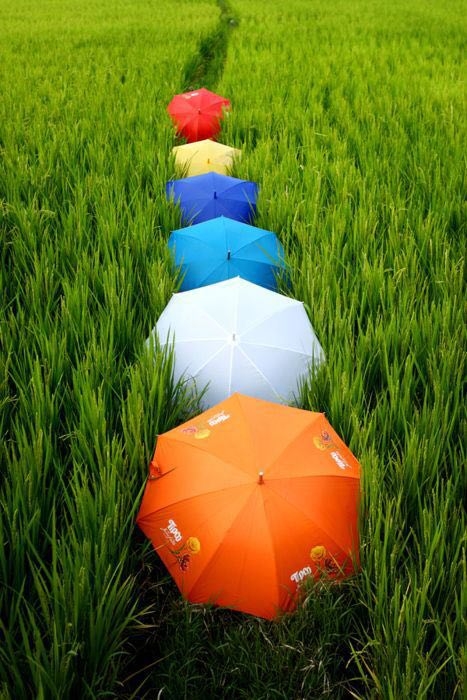 colorfull