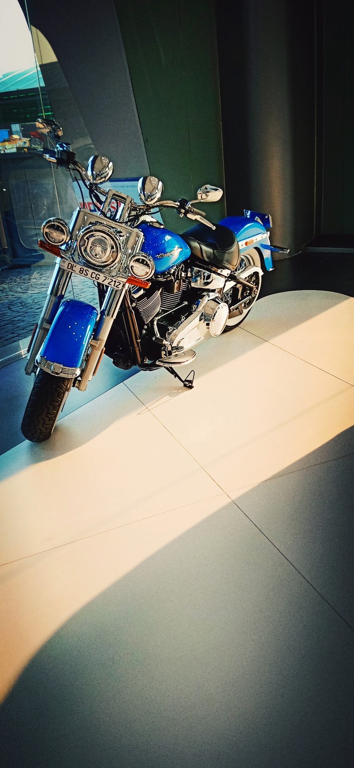 Harley shine