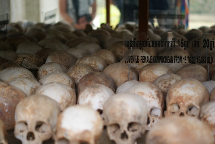 Human Skeleton