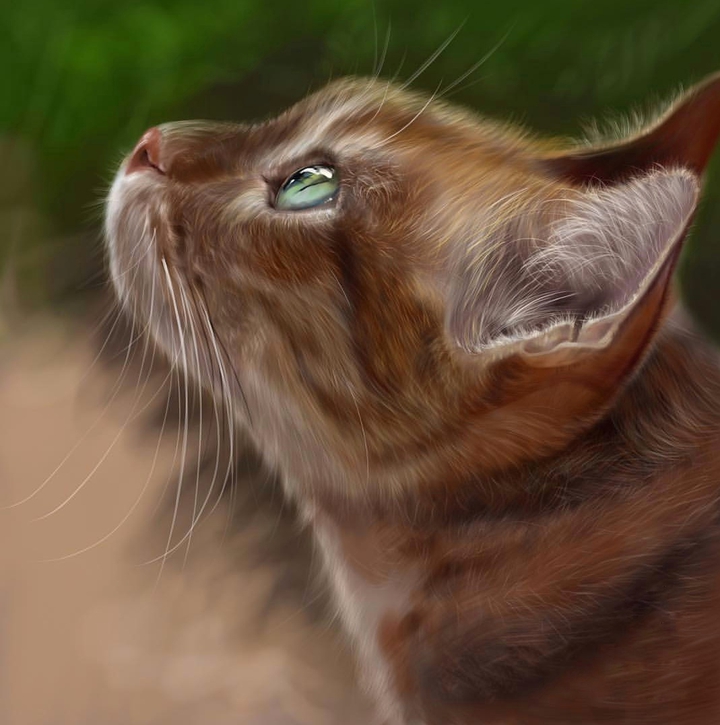 Kitty
