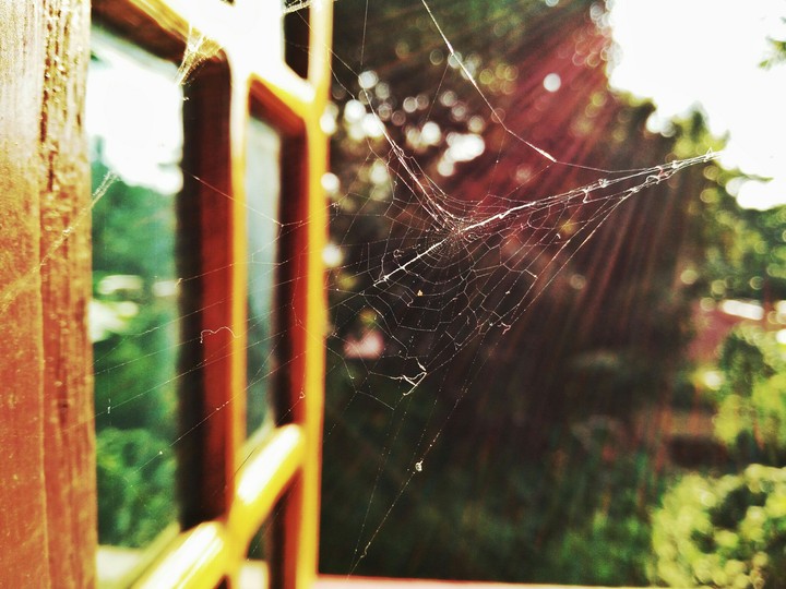 Spiderwebs