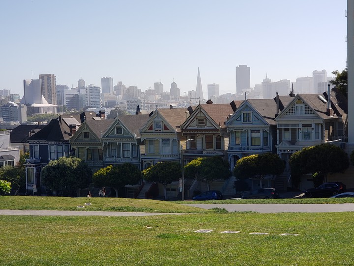 Painted Ladies