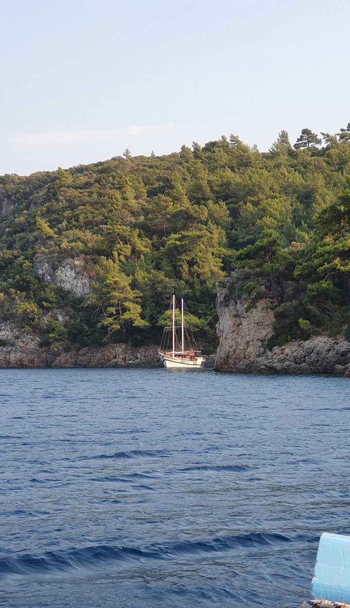 море