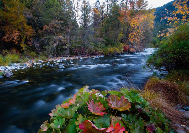 River