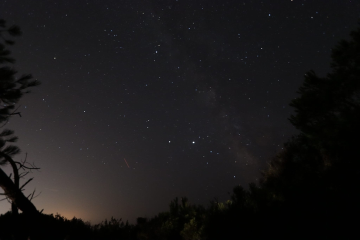 stars